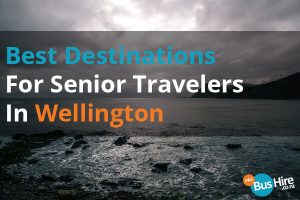 Best Destinations For Senior Travelers In Wellington